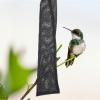 CRAFTHRO 3-Pack Hanging Bird Feed Net Bags view 3