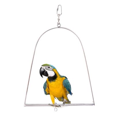 Stainless Steel Parrot Swing for Swinging and Climbing