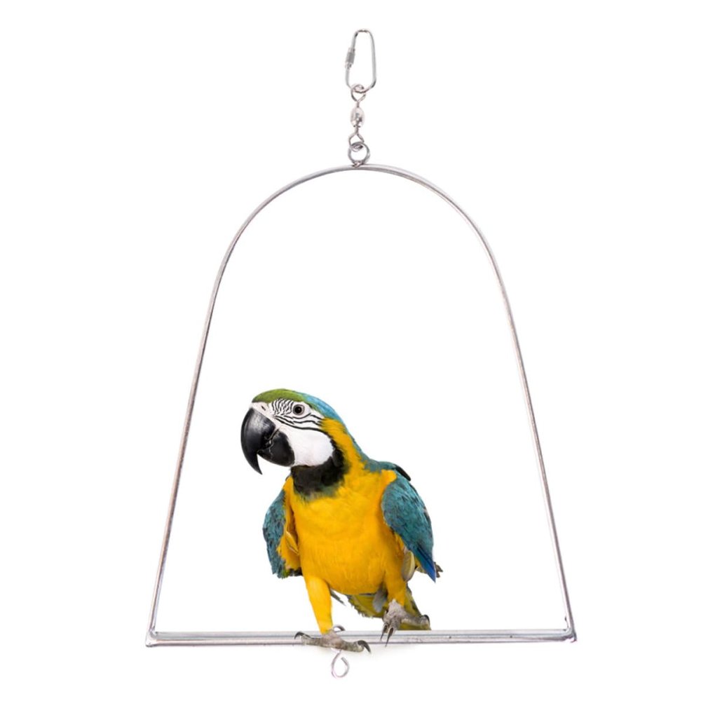 Stainless Steel Parrot Swing for Swinging and Climbing