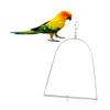 Stainless Steel Parrot Swing for Swinging and Climbing view 2