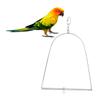 FELTECHELECTR Stainless Steel Parrot Swing with Climbing Function view 2