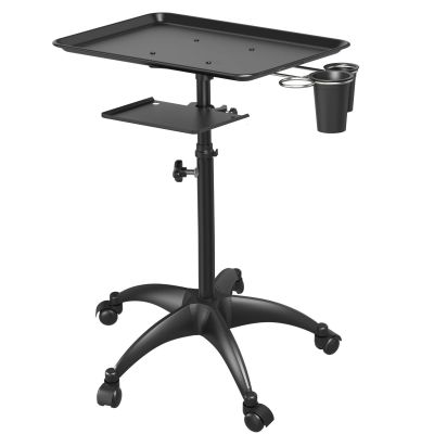 Tsophreniq Heavy-Duty Metal Salon Trolley with Spacious Tray