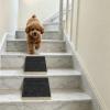 Tsophreniq Wooden Pet Ramps for Stairs, Non-Slip Steps for Small Dogs and Cats view 3