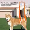 WGFOIP Mesh Dog Lift Harness (XL) view 4