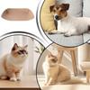 Pet Feeding Mat, Non-Slip, Dirt-Resistant, High Edge view 4