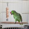 Bird Toy for Large Birds - Chew Toy view 2