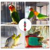 Parrot Chew Toy | Rattan Birdcage Shredder view 4