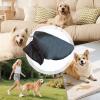 Dog Head Protection | Adjustable Soft Guard view 4