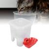 FILFEEL Automatic Waterer for Dogs, Cats & Poultry, 0.5 L view 4