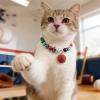 Kaeltsyn Adjustable Pet Collar view 4