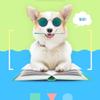 Levemolo Funny Parody Sunglasses for Cats and Dogs view 3