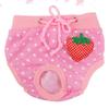 Kichvoe Safety Pants for Pets view 2