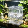 Fish Breeding Box | Floating, Double Layer with Suction Cups view 3
