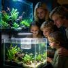 Aquarium Fish Breeding Box | Floating, Double Layer with Suction Cups view 3