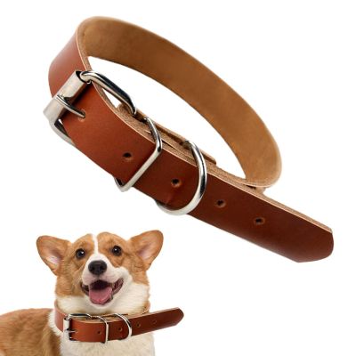 Leather Collars for Large Dogs
