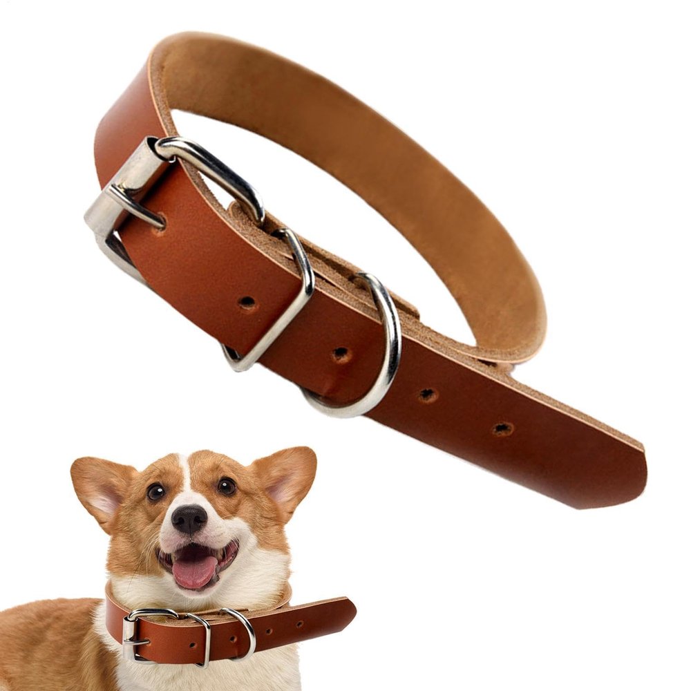 Leather Collars for Large Dogs