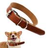 Leather Collars for Large Dogs view 1
