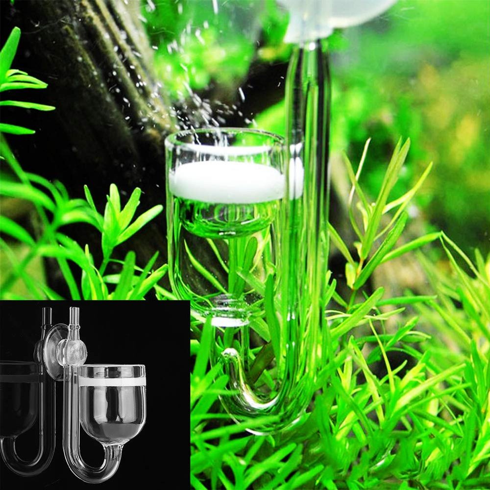 AMONIDA CO2 Diffuser for Aquariums