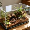 Jumping Spider Decorations, Realistic Habitat Toy view 3