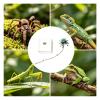 Jumping Spider Decorations, Realistic Habitat Toy view 4
