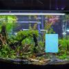 RUNROTOO Aquarium Net with Suction Cup Breeding Plate view 4
