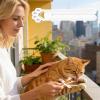 Cat Treat Squeezer view 3