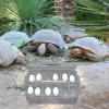 Reptile Incubation Box with Multiple Slots view 2
