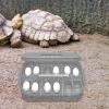 Reptile Incubation Box with Multiple Slots view 4