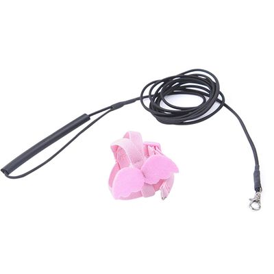 KALLORY Parrot Harness with Angel Wings and 2 m Elastic Leash