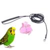 KALLORY Parrot Harness with Angel Wings and 2 m Elastic Leash view 2