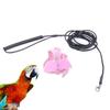KALLORY Parrot Harness with Angel Wings and 2 m Elastic Leash view 3