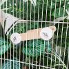 Wooden Bird Climbing Ladder view 2