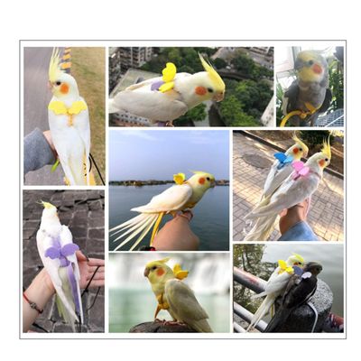 FRCOLOR Adjustable Bird Harness with 2m Elastic Leash and Angel Wings