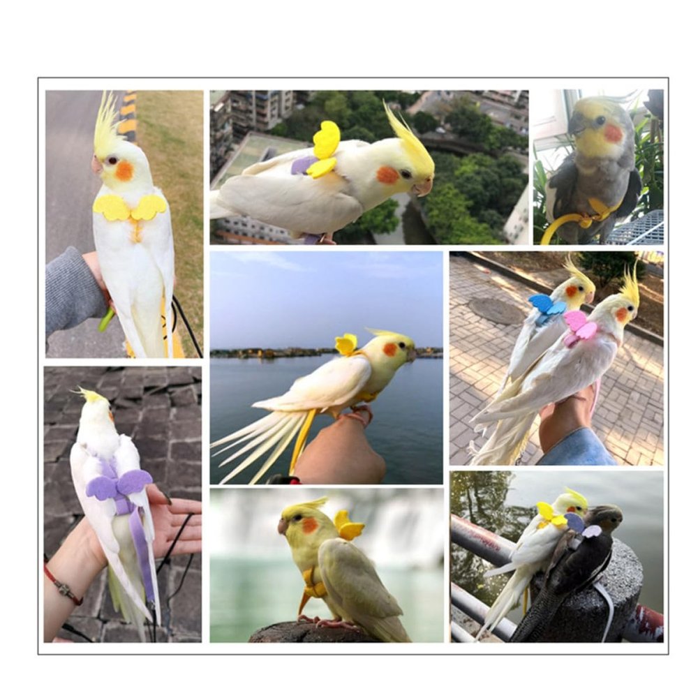FRCOLOR Adjustable Bird Harness with 2m Elastic Leash and Angel Wings