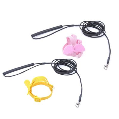 ifundom Lightweight Parrot Flight Leash with Angel Wings