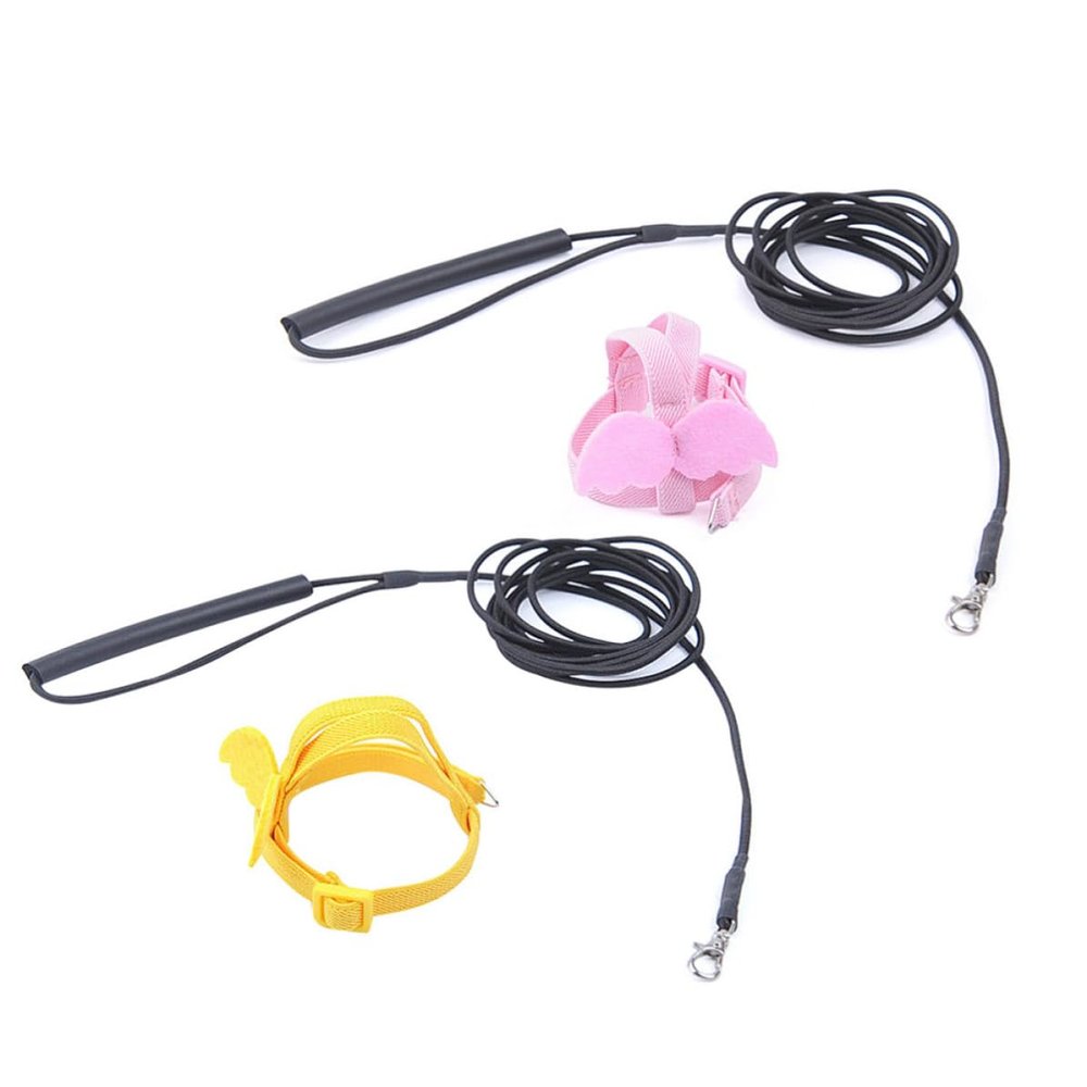 ifundom Lightweight Parrot Flight Leash with Angel Wings