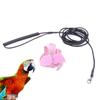 ifundom Lightweight Parrot Flight Leash with Angel Wings view 2