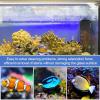 Magnetic Aquarium Glass Cleaner view 3