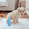 Homoyoyo Dog Toilet with Urine Post for Puppy Toilet Training view 4
