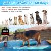 Non-Slip Inflatable Dog Water Ramp, 80 kg Capacity, Mint Green view 2