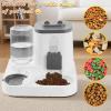 2-in-1 Cat Food and Water Dispenser with Large Tank view 4