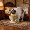 CAZSTYK Self-Balancing Pet Lick Bowl, Dishwasher-Safe view 2