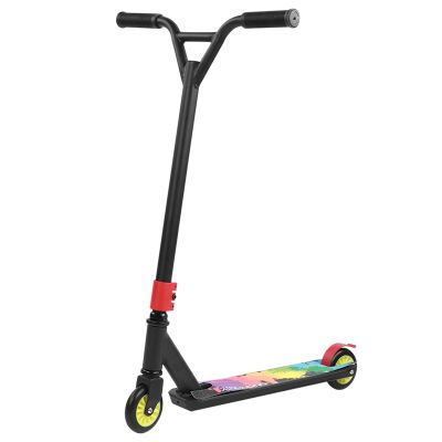 Rjrjc Scooter with Aluminum Alloy Frame and 100 mm PU Wheels