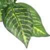 Lifelike Artificial Reptile Plant with Suction Cups, Green Plastic view 3