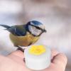 WGFOIP Flower-Shaped Hummingbird Feeders, Handheld Mini Bird Feeders, 4-Pack, Yellow view 4