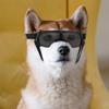 SWOOMEY Black Dog Sunglasses with Adjustable Nose Pads view 4