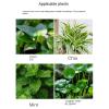 Aquarium Plant Holder with Double Hooks for Hydroponics view 3