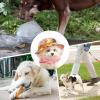 Soft Adjustable Anti-Eating Dog Head Net view 4