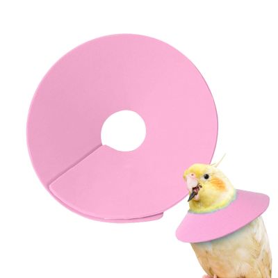 Bird Cone Collar | Protective Collar for Parakeets and Small Animals