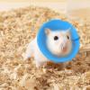 Bird Cone Collar for Comfortable Bite and Wound Protection view 3